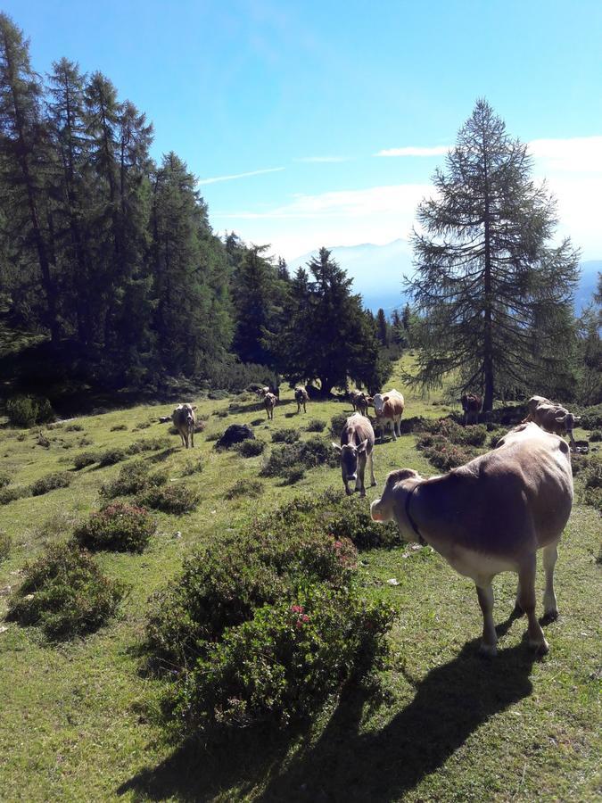 Berghotel Schlickeralm 1.616 M Fulpmes Eksteriør bilde